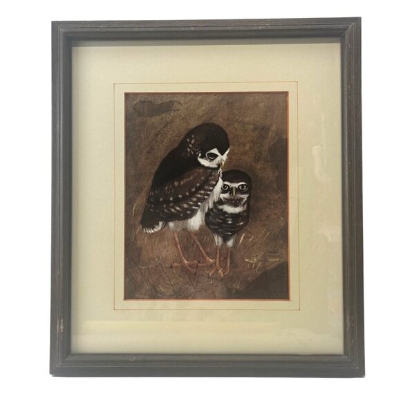 Richard Hinger Burrowing Owls Vintage Framed Art MCM 16.5" x 14.5" Farm House - Picture 1 of 10